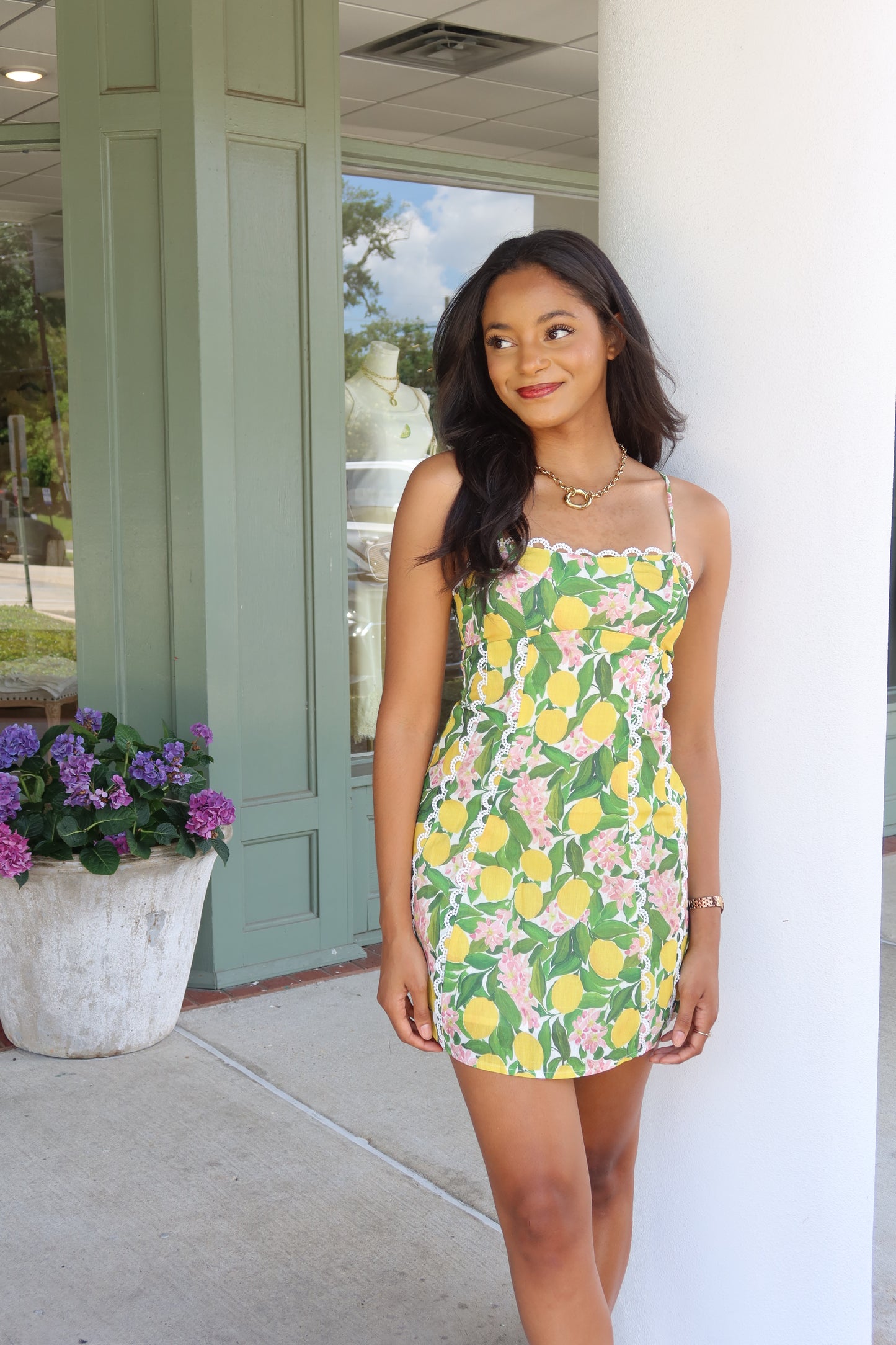 Cecilia Mini Dress