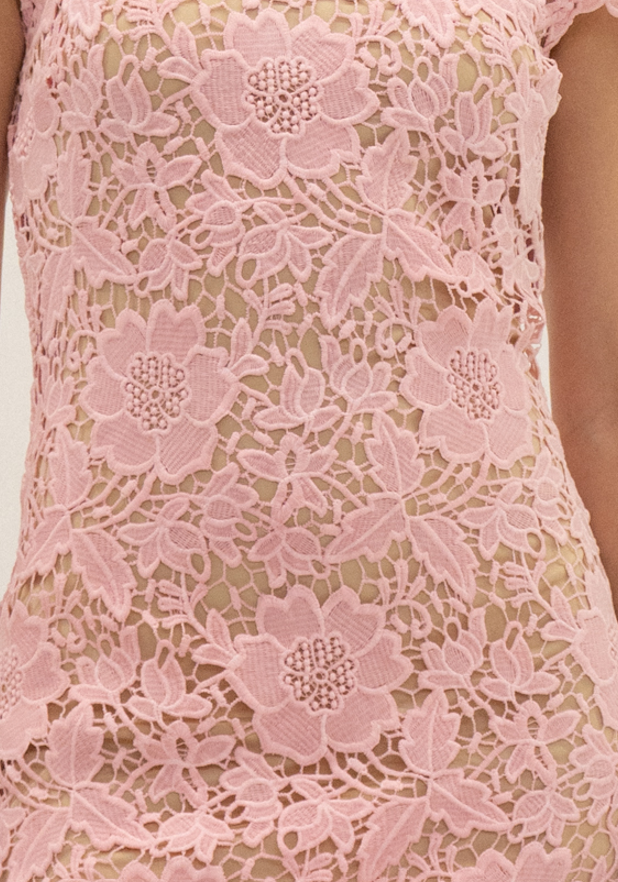 CAP SLEEVE LACE MINI DRESS - DI11988FO: IVORY / S