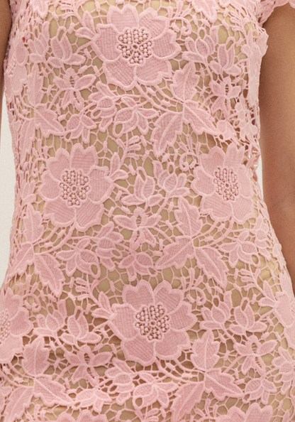 CAP SLEEVE LACE MINI DRESS - DI11988FO: IVORY / S