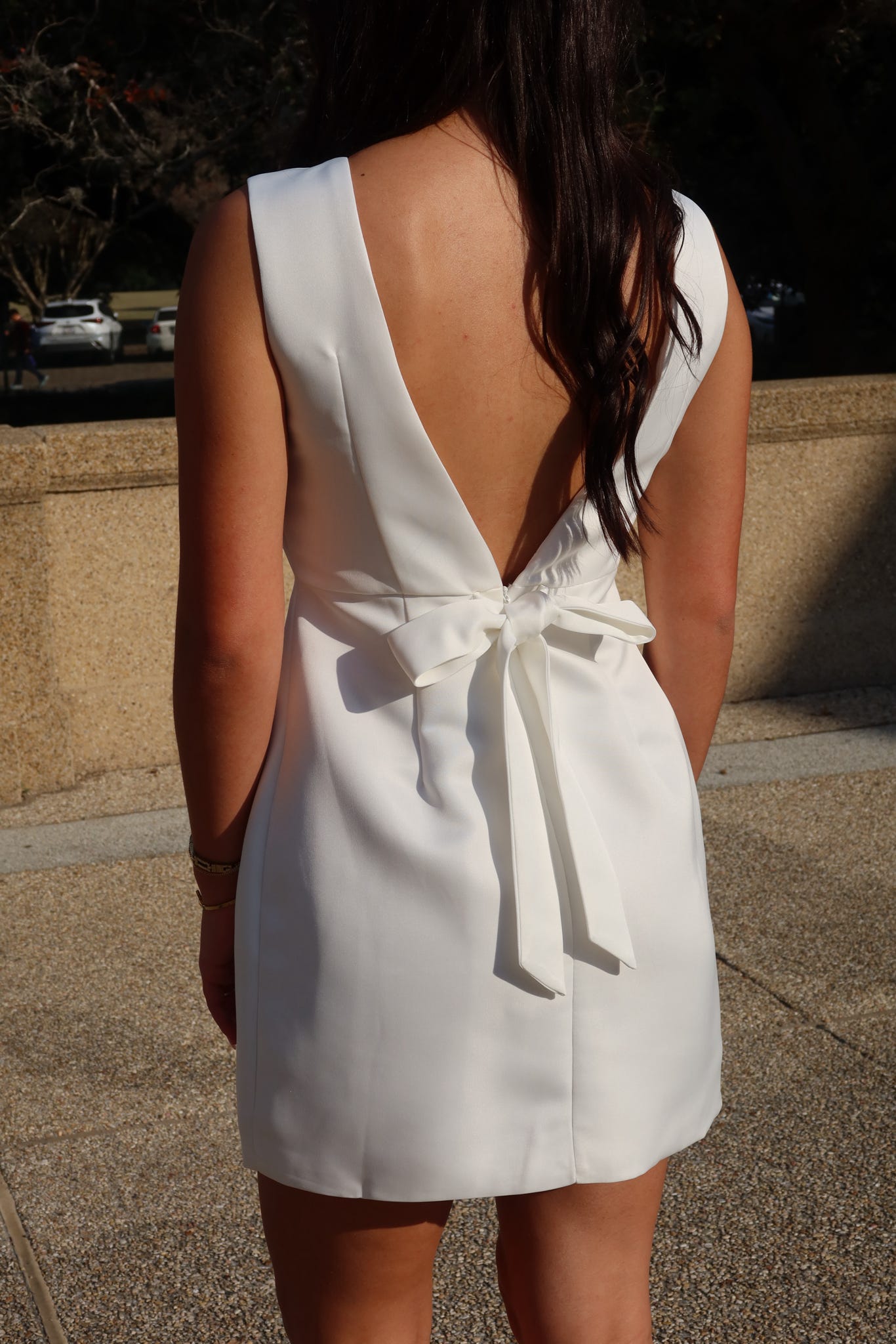 Olivia Mini Dress