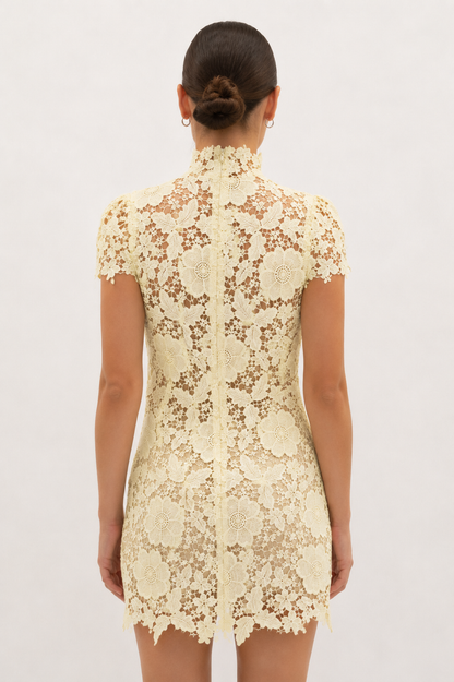 CAP SLEEVE LACE MINI DRESS - DI11988FO: IVORY / S