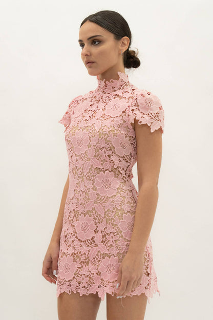 CAP SLEEVE LACE MINI DRESS - DI11988FO: IVORY / S