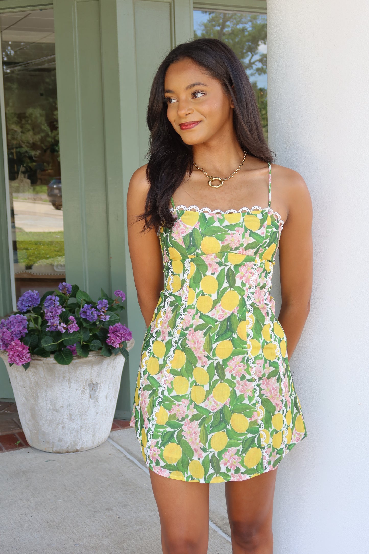 Cecilia Mini Dress