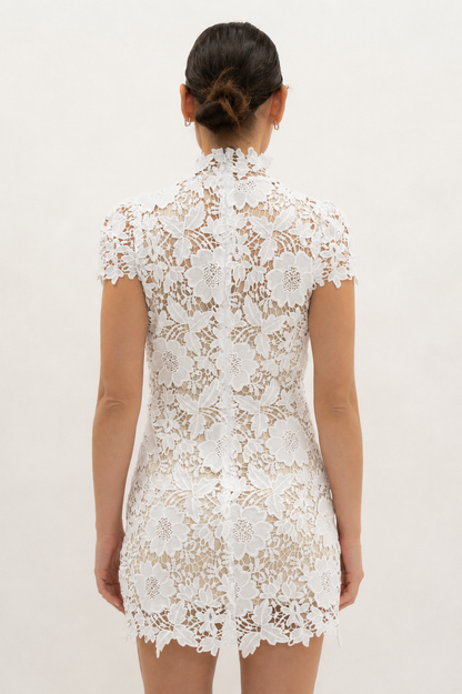 CAP SLEEVE LACE MINI DRESS - DI11988FO: IVORY / S